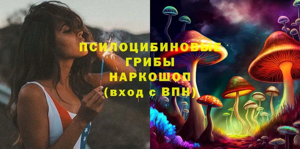 ГАЛЛЮЦИНОГЕННЫЕ ГРИБЫ Бронницы