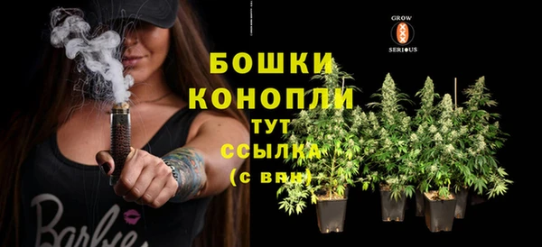 ГАЛЛЮЦИНОГЕННЫЕ ГРИБЫ Бронницы