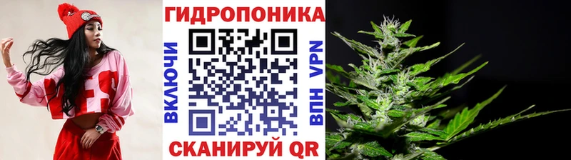 Канабис VHQ  Кирс 